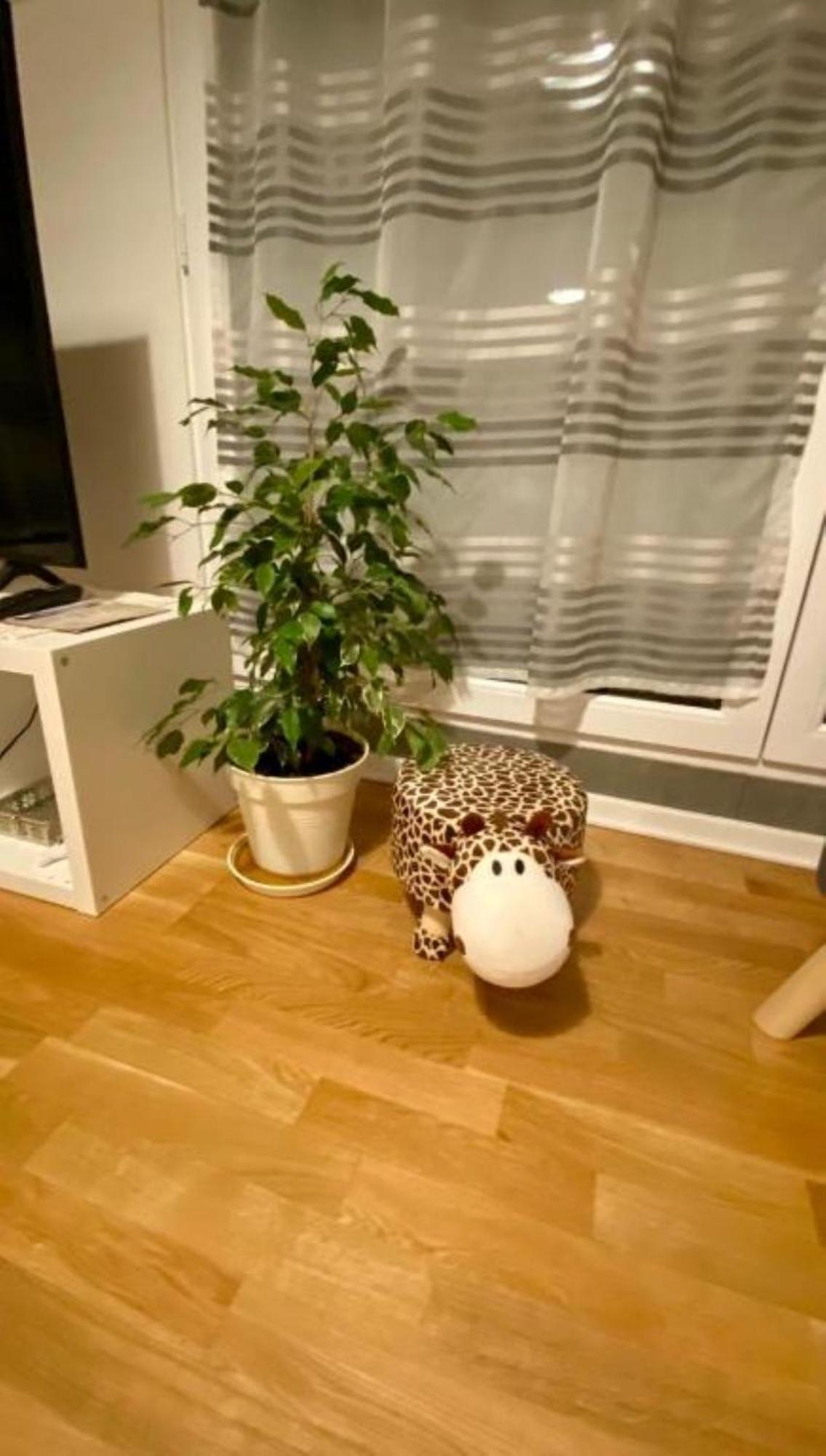 Schoenes Erwachen Im Frankfurter Penthouse Frankfurt pe Main Exterior foto
